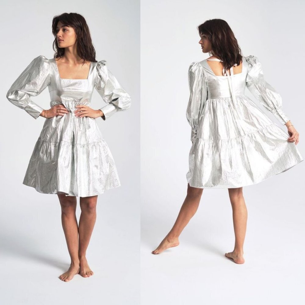 Rachel Antonoff Christa Empire Dress in Silver 2 NWT